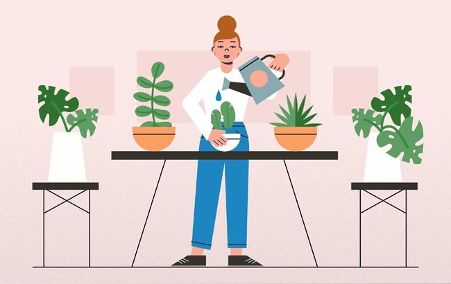 Home and Garden Care