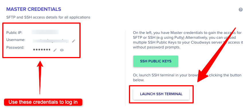Cloudways Launch SSH Terminal