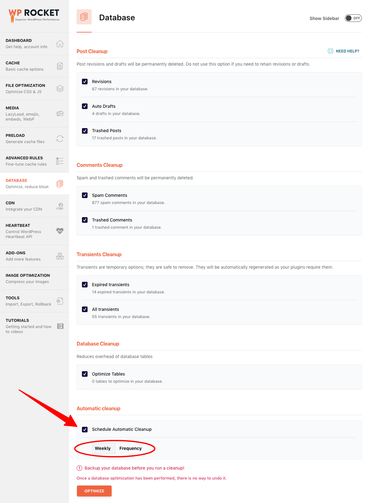 WP Rocket Database Settings