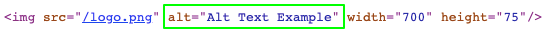 Alt Text Example